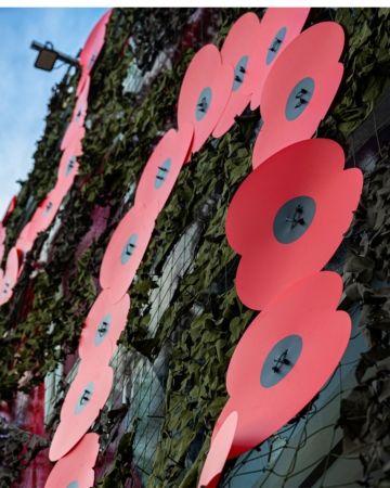 Remembrance Day poppies to pay tribute to the fallen